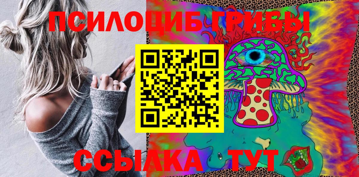 Галлюциногенные грибы Cubensis Великий Устюг