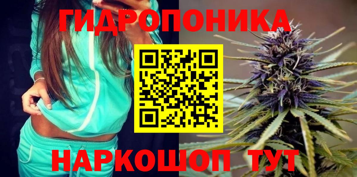 Бошки Шишки ГИДРОПОН  Вход с VPN  Великий Устюг  Канабис SATIVA & INDICA 